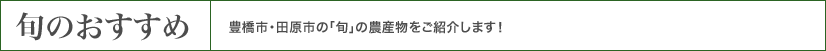 旬のおすすめ